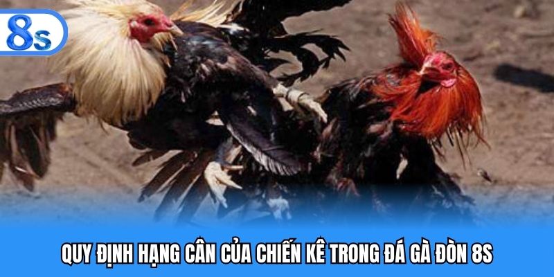 Quy định hạng cân của chiến kê trong đá gà đòn 8S