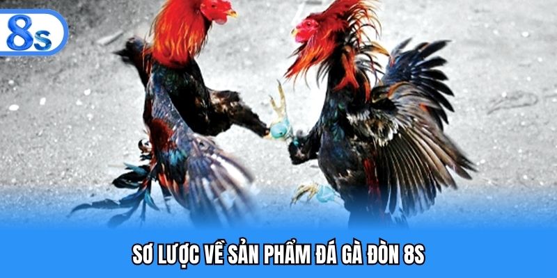 Sơ lược về sản phẩm đá gà đòn 8S