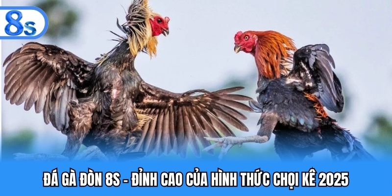 Đá gà đòn 8S